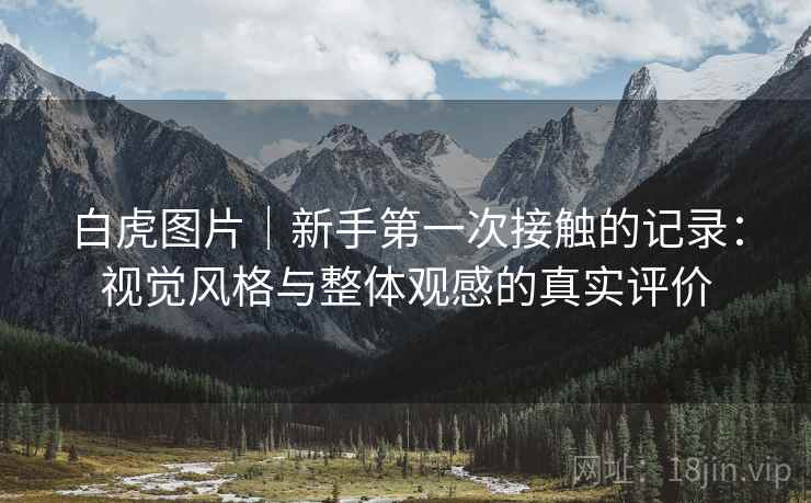 白虎图片|新手第一次接触的记录:视觉风格与整体观感的真实评价 白虎图片|新手第一次接触的记录:视觉风格与整体观感的真实评价