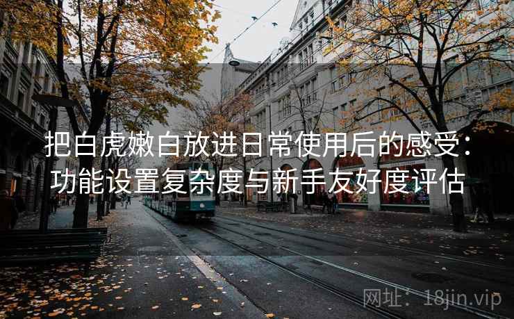 把白虎嫩白放进日常使用后的感受:功能设置复杂度与新手友好度评估 把白虎嫩白放进日常使用后的感受:功能设置复杂度与新手友好度评估