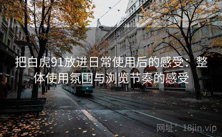 把白虎91放进日常使用后的感受：整体使用氛围与浏览节奏的感受