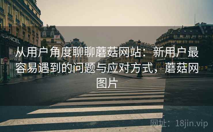 从用户角度聊聊蘑菇网站：新用户最容易遇到的问题与应对方式，蘑菇网图片