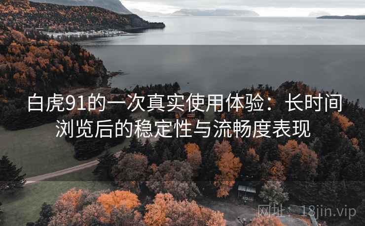 白虎91的一次真实使用体验:长时间浏览后的稳定性与流畅度表现 白虎91的一次真实使用体验:长时间浏览后的稳定性与流畅度表现