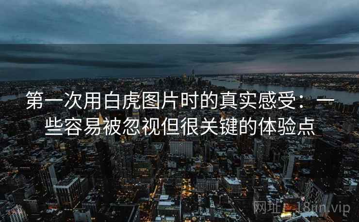 第一次用白虎图片时的真实感受：一些容易被忽视但很关键的体验点