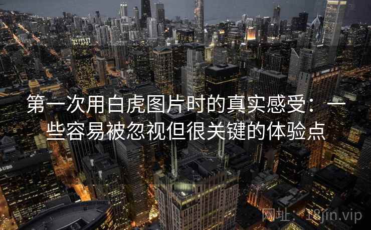 第一次用白虎图片时的真实感受：一些容易被忽视但很关键的体验点