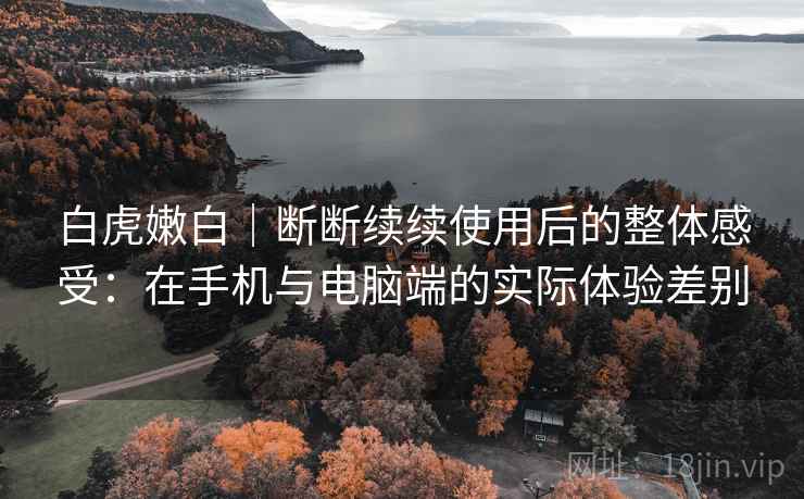 白虎嫩白｜断断续续使用后的整体感受：在手机与电脑端的实际体验差别