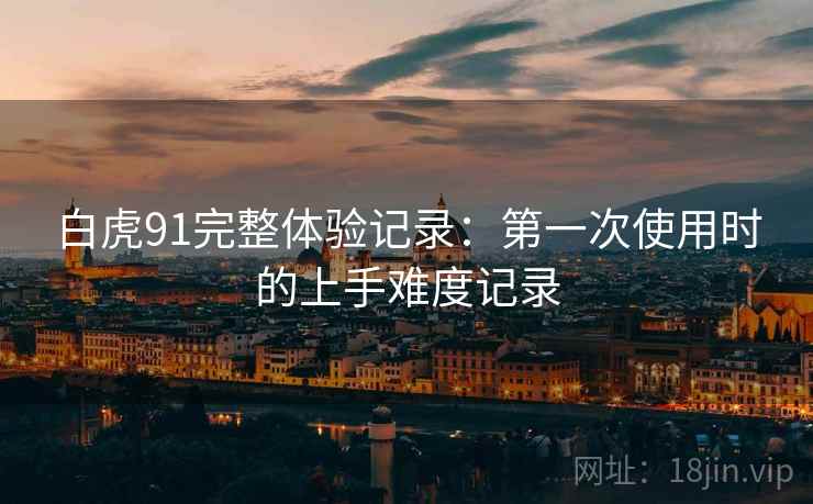 白虎91完整体验记录:第一次使用时的上手难度记录 白虎91完整体验记录:第一次使用时的上手难度记录