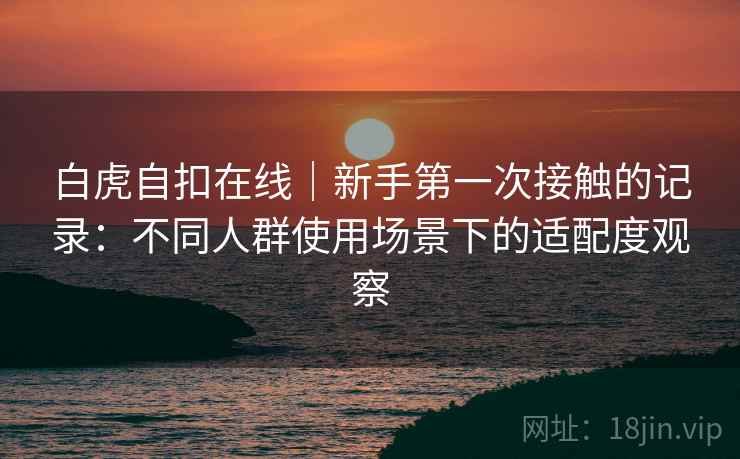 白虎自扣在线｜新手第一次接触的记录：不同人群使用场景下的适配度观察