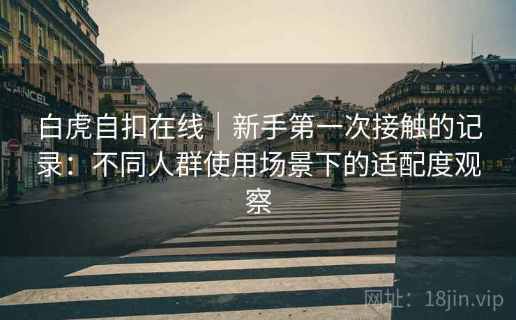 白虎自扣在线|新手第一次接触的记录:不同人群使用场景下的适配度观察 白虎自扣在线|新手第一次接触的记录:不同人群使用场景下的适配度观察