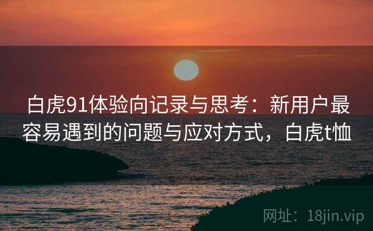 白虎91体验向记录与思考：新用户最容易遇到的问题与应对方式，白虎t恤