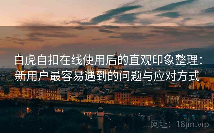 白虎自扣在线使用后的直观印象整理：新用户最容易遇到的问题与应对方式