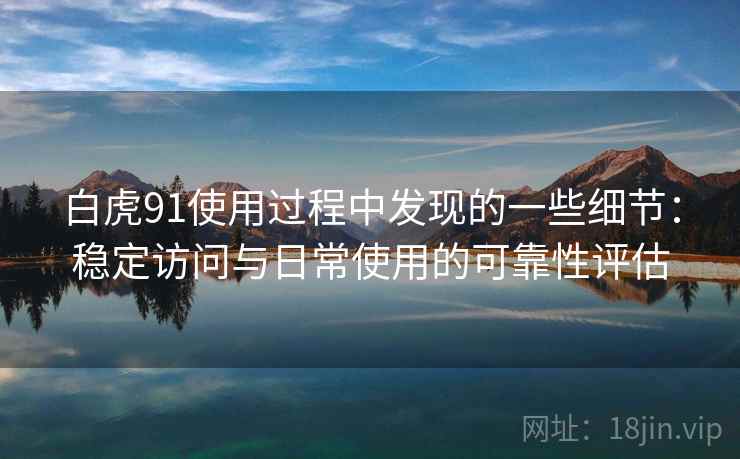 白虎91使用过程中发现的一些细节：稳定访问与日常使用的可靠性评估