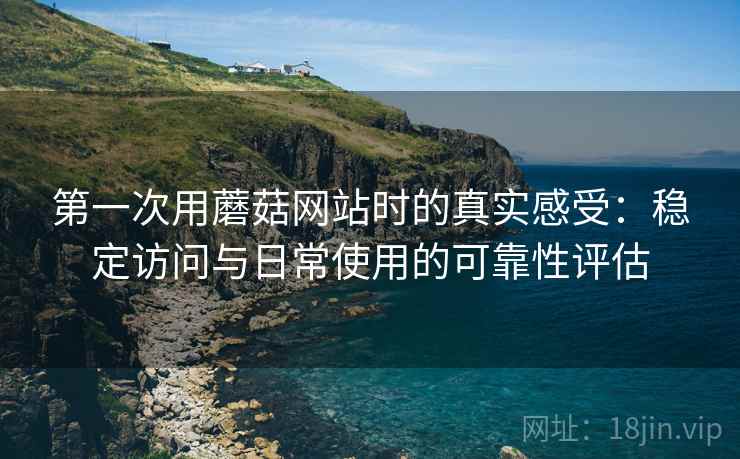 第一次用蘑菇网站时的真实感受：稳定访问与日常使用的可靠性评估