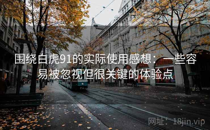 围绕白虎91的实际使用感想：一些容易被忽视但很关键的体验点