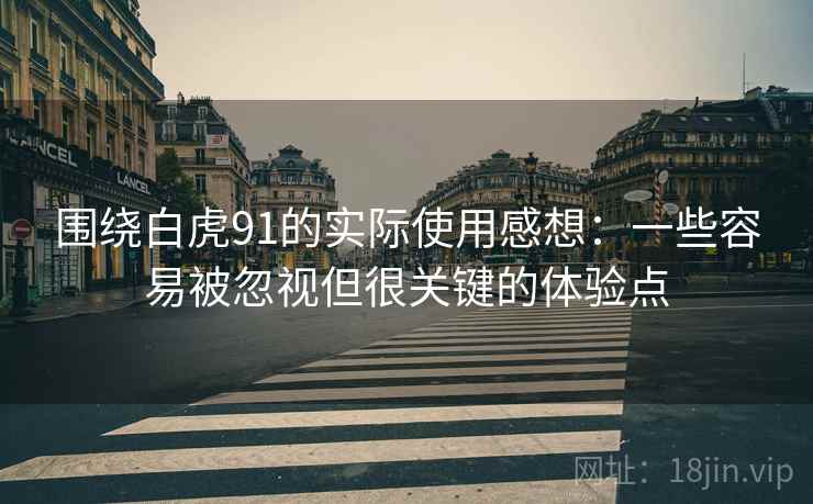 围绕白虎91的实际使用感想:一些容易被忽视但很关键的体验点 围绕白虎91的实际使用感想:一些容易被忽视但很关键的体验点