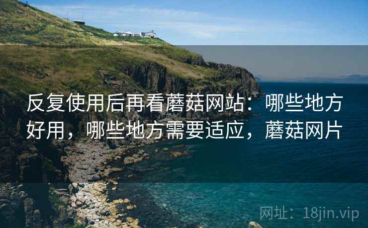 反复使用后再看蘑菇网站：哪些地方好用，哪些地方需要适应，蘑菇网片