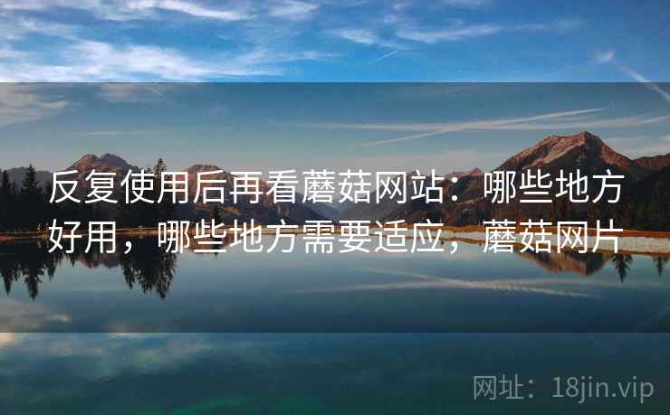 反复使用后再看蘑菇网站：哪些地方好用，哪些地方需要适应，蘑菇网片